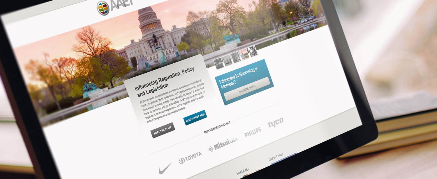AAEI Nonprofit Website