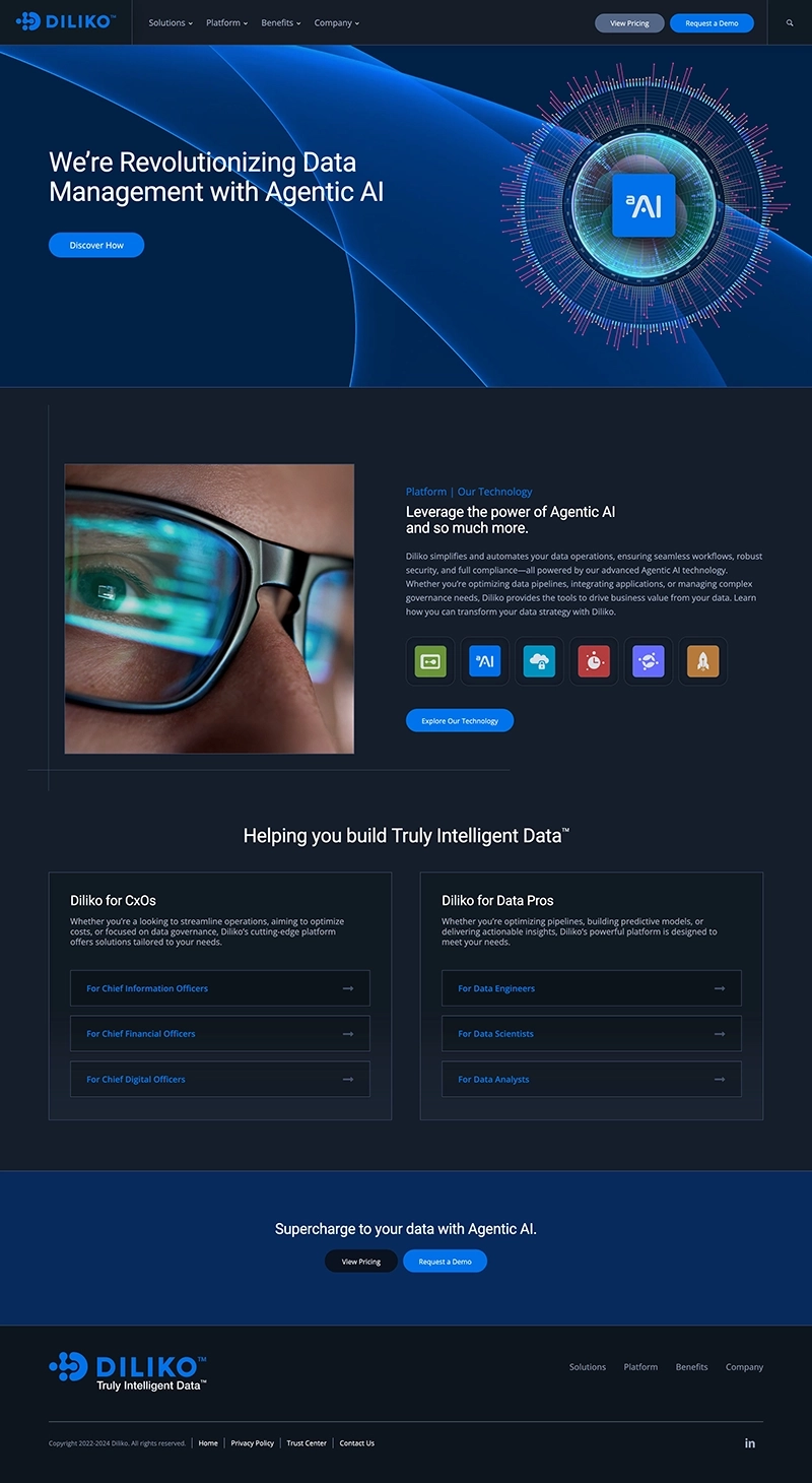 diliko website homepage 3
