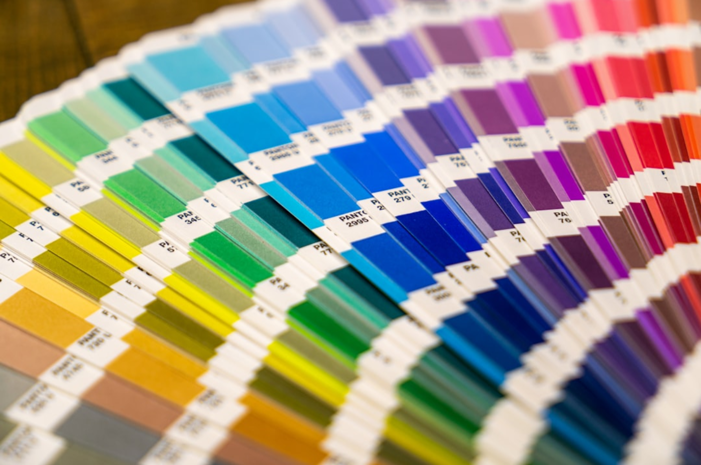 The Psychology Behind Color in B2B Branding: What Actually Converts