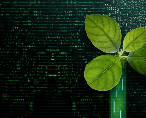 what low carbon web design means for sustainable businesses in 2026